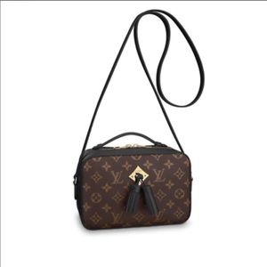 Louis Vuitton Saintonge Bag
